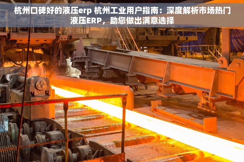杭州口碑好的液压erp 杭州工业用户指南：深度解析市场热门液压ERP，助您做出满意选择