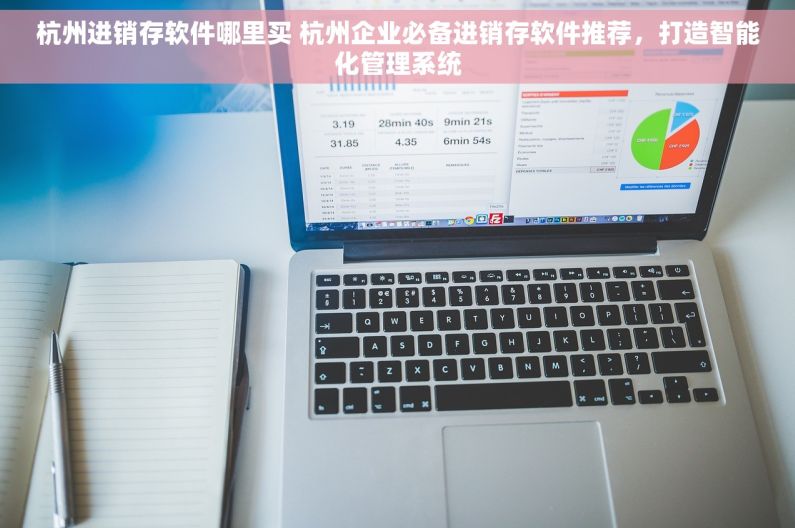 杭州进销存软件哪里买 杭州企业必备进销存软件推荐，打造智能化管理系统
