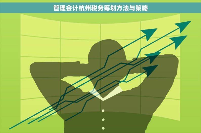 管理会计杭州税务筹划方法与策略