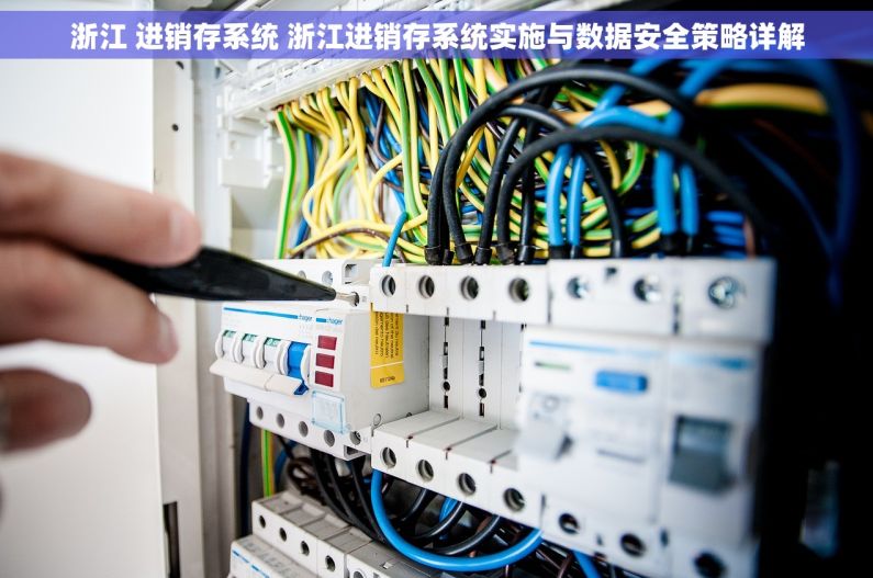 浙江 进销存系统 浙江进销存系统实施与数据安全策略详解