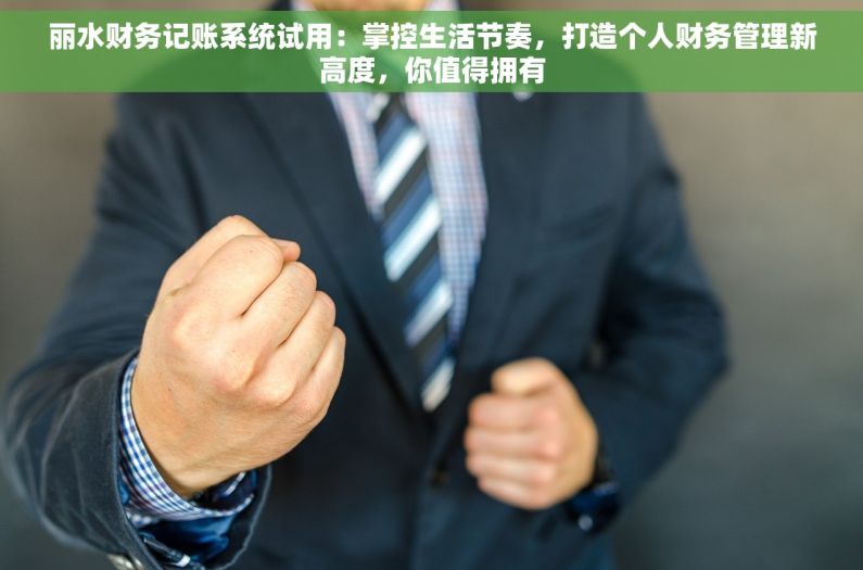 丽水财务记账系统试用：掌控生活节奏，打造个人财务管理新高度，你值得拥有