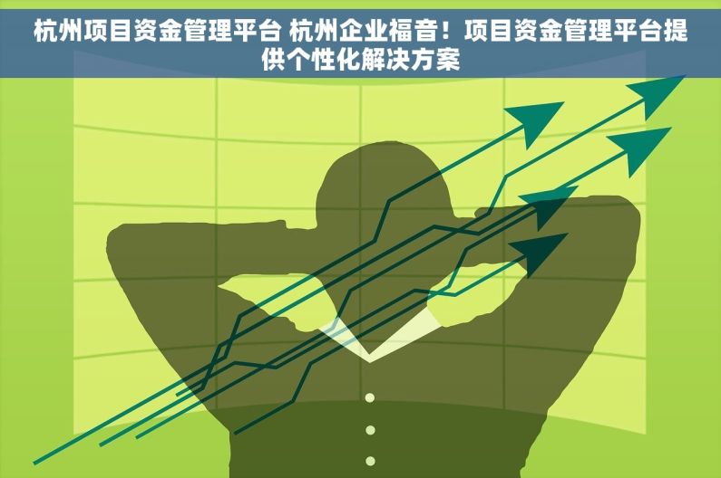 杭州项目资金管理平台 杭州企业福音！项目资金管理平台提供个性化解决方案