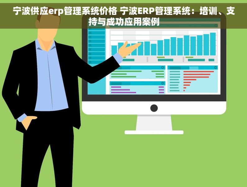 宁波供应erp管理系统价格 宁波ERP管理系统：培训、支持与成功应用案例