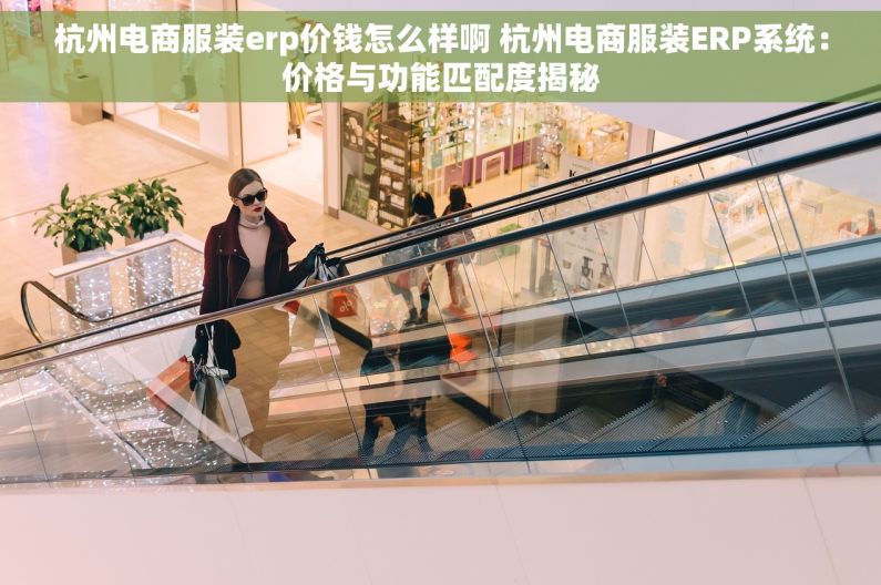 杭州电商服装erp价钱怎么样啊 杭州电商服装ERP系统：价格与功能匹配度揭秘