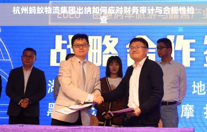 杭州蚂蚁物流集团出纳如何应对财务审计与合规性检查