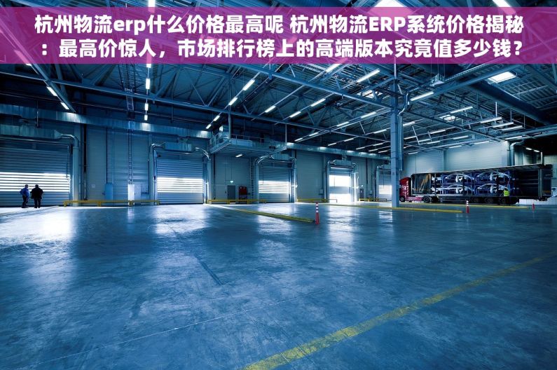 杭州物流erp什么价格最高呢 杭州物流ERP系统价格揭秘：最高价惊人，市场排行榜上的高端版本究竟值多少钱？