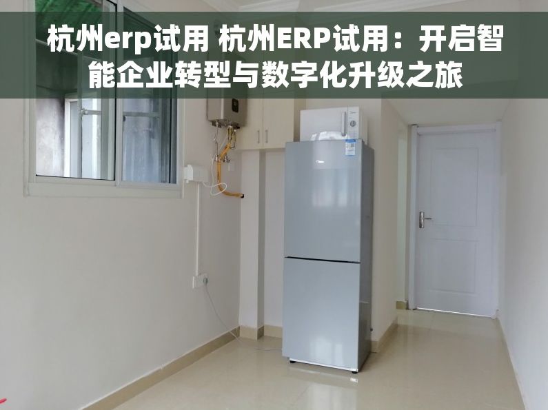 杭州erp试用 杭州ERP试用：开启智能企业转型与数字化升级之旅