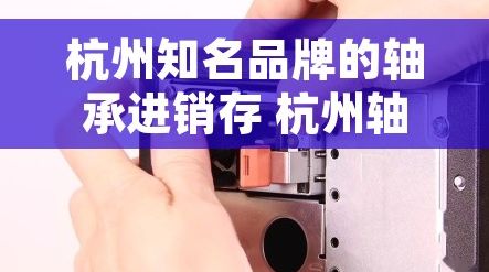 杭州知名品牌的轴承进销存 杭州轴承市场：品牌如何精明地进行库存控制？