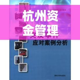 杭州资金管理系统 杭州企业财务困境破解与优化：资金管理系统在资金管理中的关键作用与成功案例