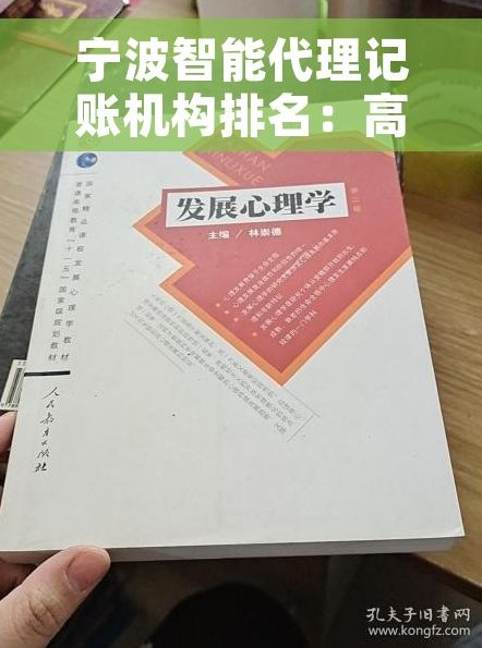 宁波智能代理记账机构排名：高效税务筹划与中小企业发展关键