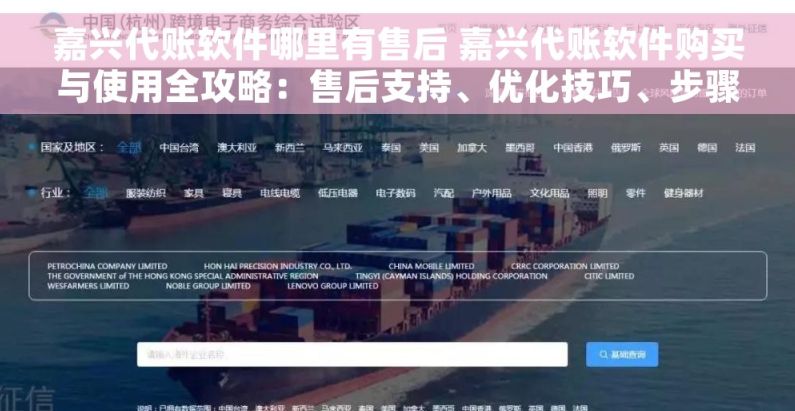 嘉兴代账软件哪里有售后 嘉兴代账软件购买与使用全攻略：售后支持、优化技巧、步骤详解