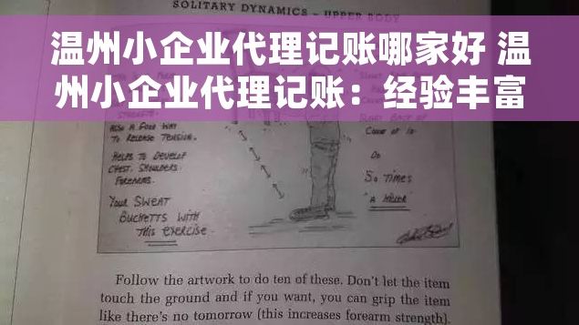 温州小企业代理记账哪家好 温州小企业代理记账：经验丰富的优质服务商与合理收费推荐
