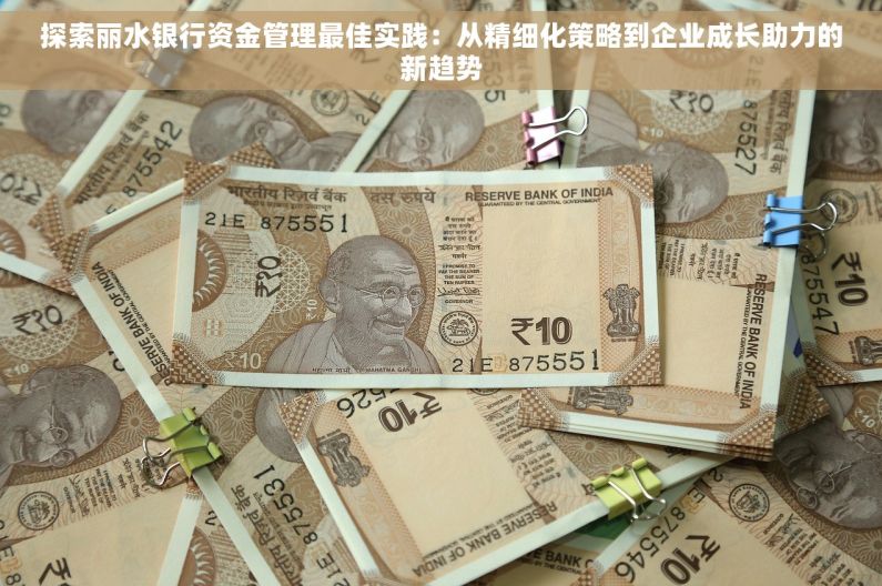 探索丽水银行资金管理最佳实践：从精细化策略到企业成长助力的新趋势