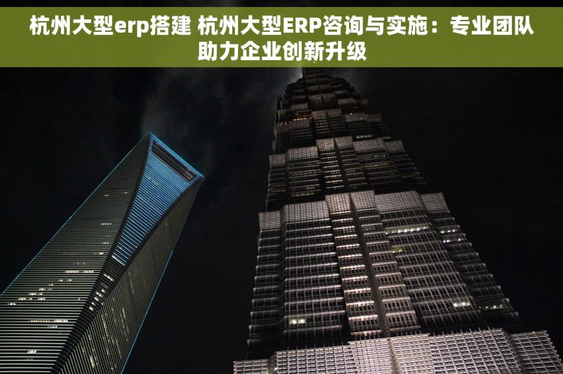 杭州大型erp搭建 杭州大型ERP咨询与实施：专业团队助力企业创新升级
