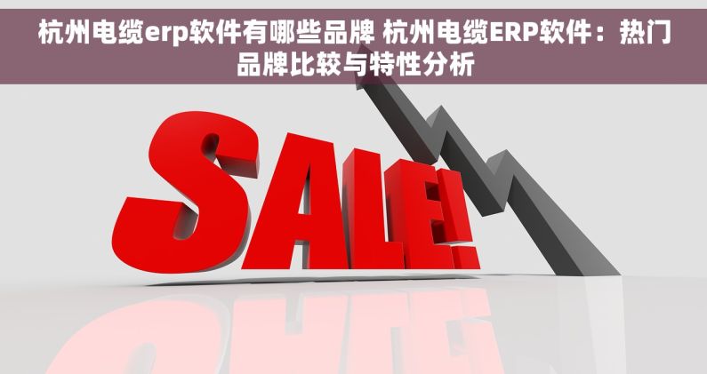 杭州电缆erp软件有哪些品牌 杭州电缆ERP软件：热门品牌比较与特性分析