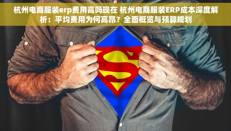杭州电商服装erp费用高吗现在 杭州电商服装ERP成本深度解析：平均费用为何高昂？全面概览与预算规划