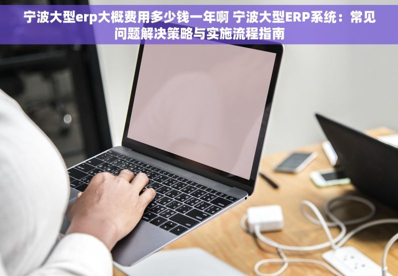宁波大型erp大概费用多少钱一年啊 宁波大型ERP系统：常见问题解决策略与实施流程指南