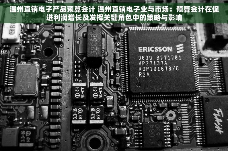 温州直销电子产品预算会计 温州直销电子业与市场：预算会计在促进利润增长及发挥关键角色中的策略与影响