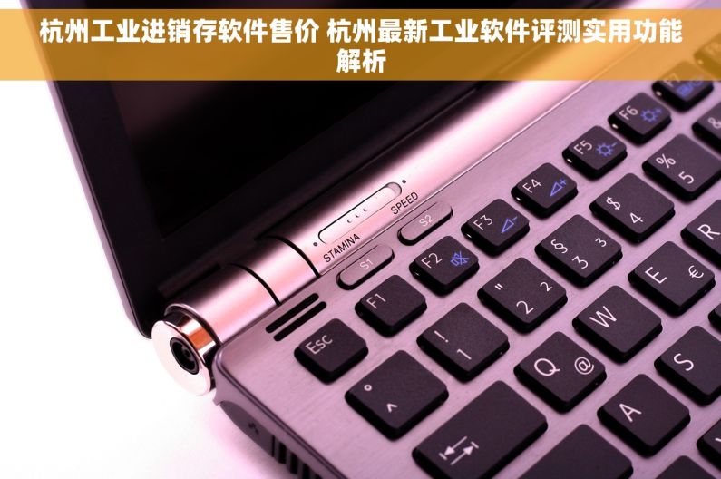 杭州工业进销存软件售价 杭州最新工业软件评测实用功能解析