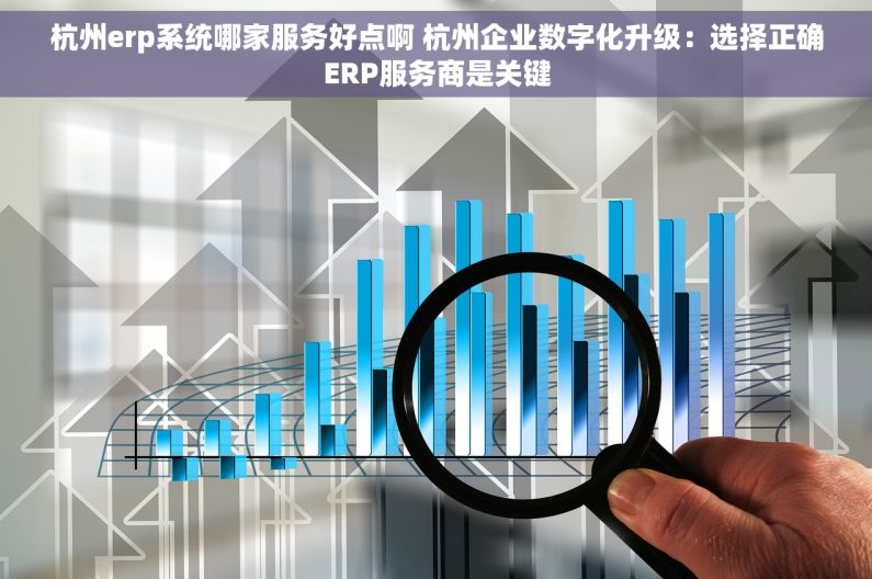 杭州erp系统哪家服务好点啊 杭州企业数字化升级：选择正确ERP服务商是关键
