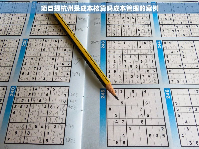 项目提杭州是成本核算吗成本管理的案例