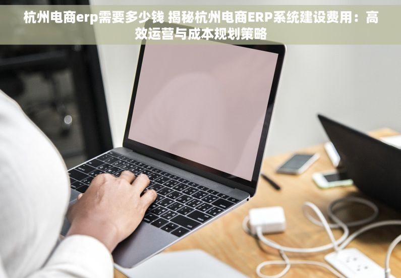 杭州电商erp需要多少钱 揭秘杭州电商ERP系统建设费用：高效运营与成本规划策略