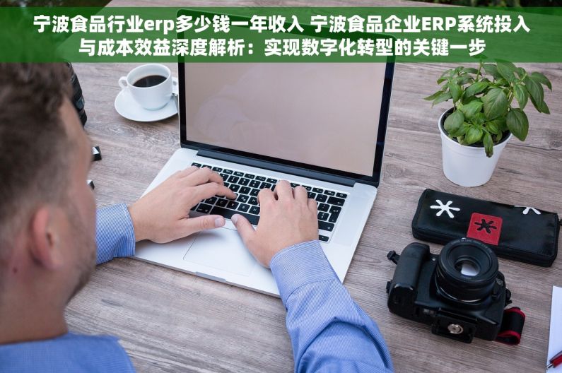 宁波食品行业erp多少钱一年收入 宁波食品企业ERP系统投入与成本效益深度解析：实现数字化转型的关键一步