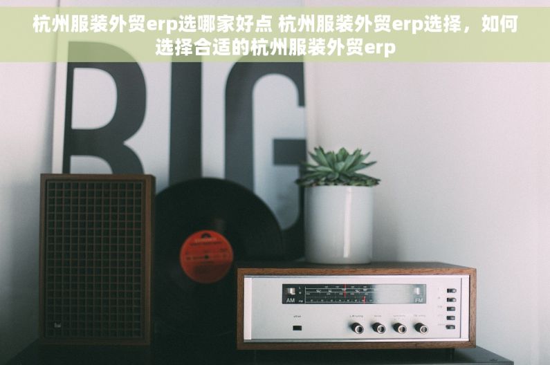 杭州服装外贸erp选哪家好点 杭州服装外贸erp选择，如何选择合适的杭州服装外贸erp