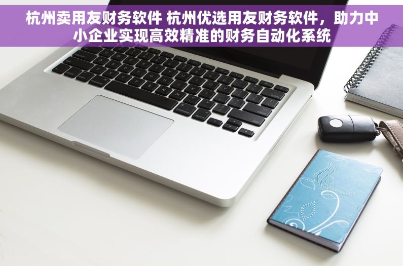 杭州卖用友财务软件 杭州优选用友财务软件，助力中小企业实现高效精准的财务自动化系统