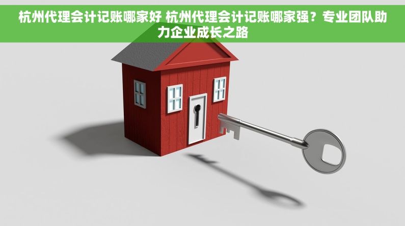 杭州代理会计记账哪家好 杭州代理会计记账哪家强？专业团队助力企业成长之路