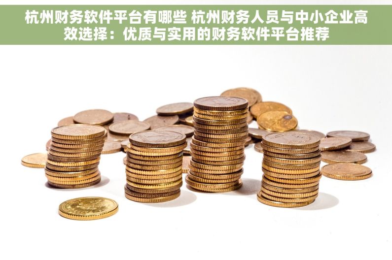 杭州财务软件平台有哪些 杭州财务人员与中小企业高效选择：优质与实用的财务软件平台推荐