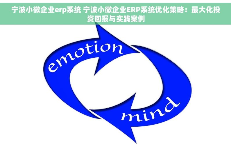 宁波小微企业erp系统 宁波小微企业ERP系统优化策略：最大化投资回报与实践案例