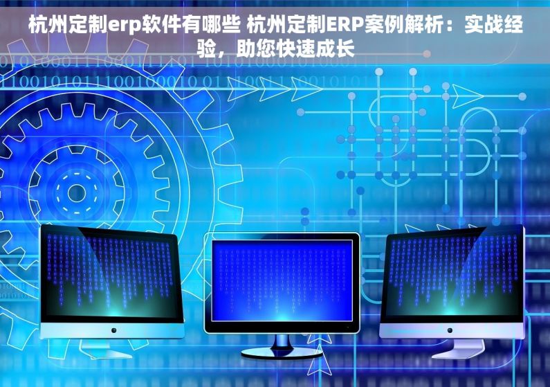 杭州定制erp软件有哪些 杭州定制ERP案例解析：实战经验，助您快速成长