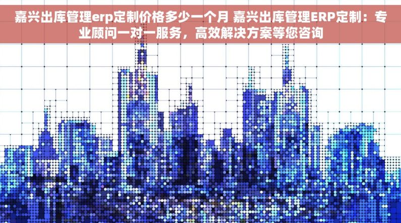 嘉兴出库管理erp定制价格多少一个月 嘉兴出库管理ERP定制：专业顾问一对一服务，高效解决方案等您咨询