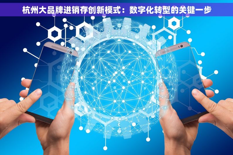 杭州大品牌进销存创新模式：数字化转型的关键一步