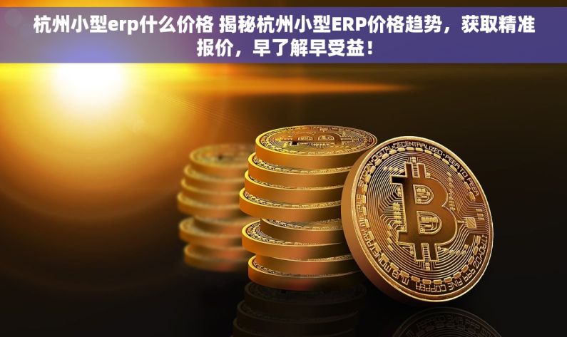 杭州小型erp什么价格 揭秘杭州小型ERP价格趋势，获取精准报价，早了解早受益！
