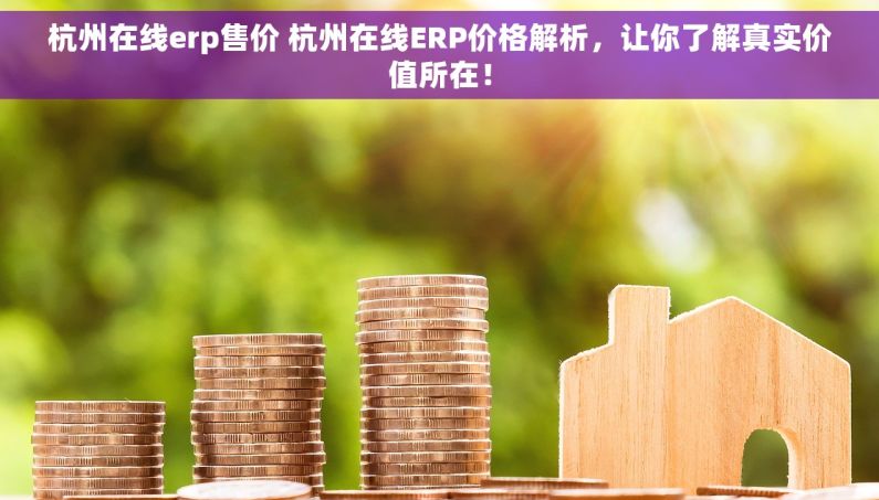 杭州在线erp售价 杭州在线ERP价格解析，让你了解真实价值所在！