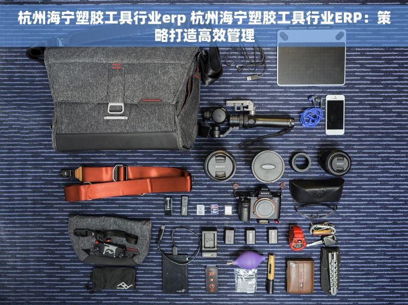 杭州海宁塑胶工具行业erp 杭州海宁塑胶工具行业ERP：策略打造高效管理