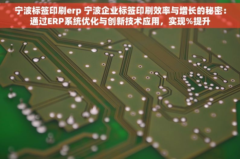 宁波标签印刷erp 宁波企业标签印刷效率与增长的秘密：通过ERP系统优化与创新技术应用，实现%提升