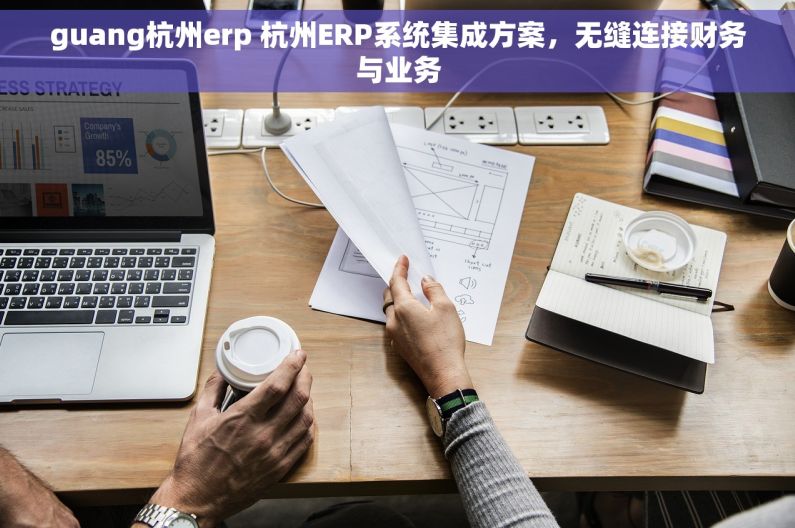 guang杭州erp 杭州ERP系统集成方案，无缝连接财务与业务
