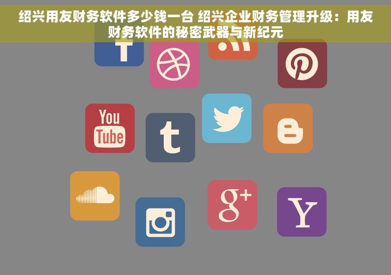 绍兴用友财务软件多少钱一台 绍兴企业财务管理升级：用友财务软件的秘密武器与新纪元