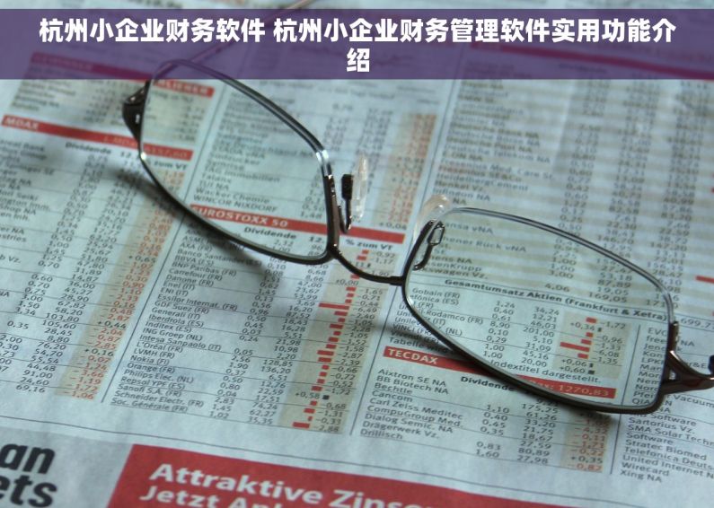 杭州小企业财务软件 杭州小企业财务管理软件实用功能介绍