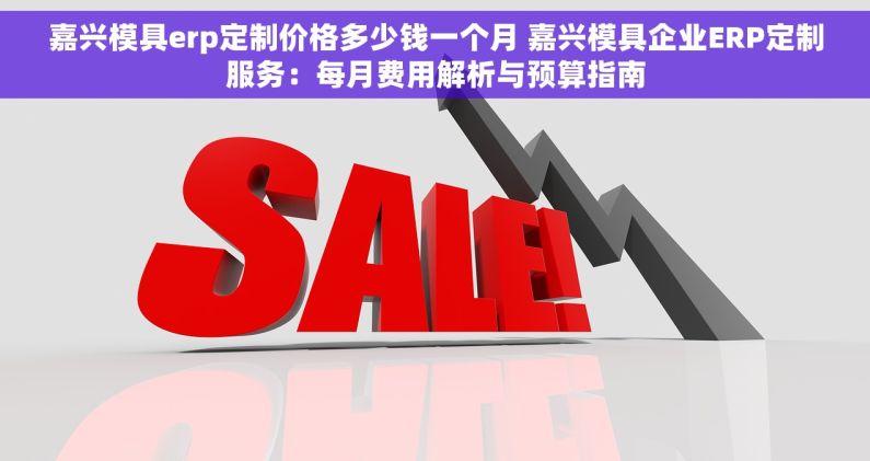 嘉兴模具erp定制价格多少钱一个月 嘉兴模具企业ERP定制服务：每月费用解析与预算指南