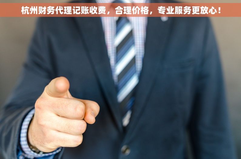 杭州财务代理记账收费，合理价格，专业服务更放心！