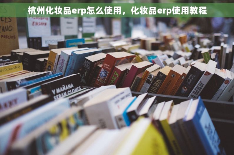 杭州化妆品erp怎么使用，化妆品erp使用教程
