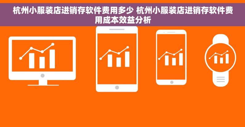 杭州小服装店进销存软件费用多少 杭州小服装店进销存软件费用成本效益分析