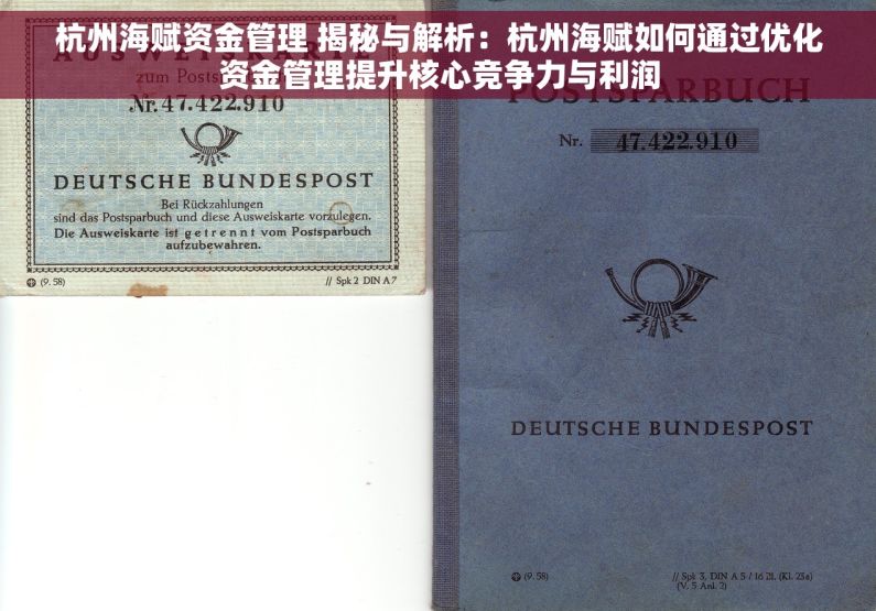 杭州海赋资金管理 揭秘与解析：杭州海赋如何通过优化资金管理提升核心竞争力与利润