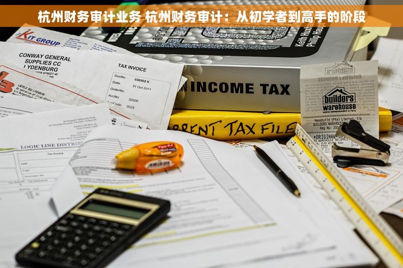 杭州财务审计业务 杭州财务审计：从初学者到高手的阶段