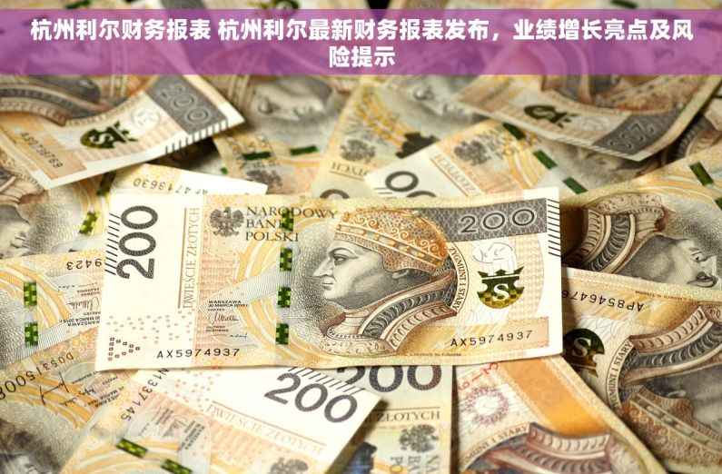 杭州利尔财务报表 杭州利尔最新财务报表发布，业绩增长亮点及风险提示