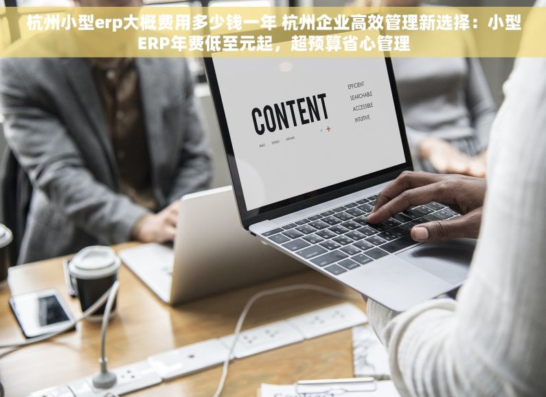 杭州小型erp大概费用多少钱一年 杭州企业高效管理新选择：小型ERP年费低至元起，超预算省心管理